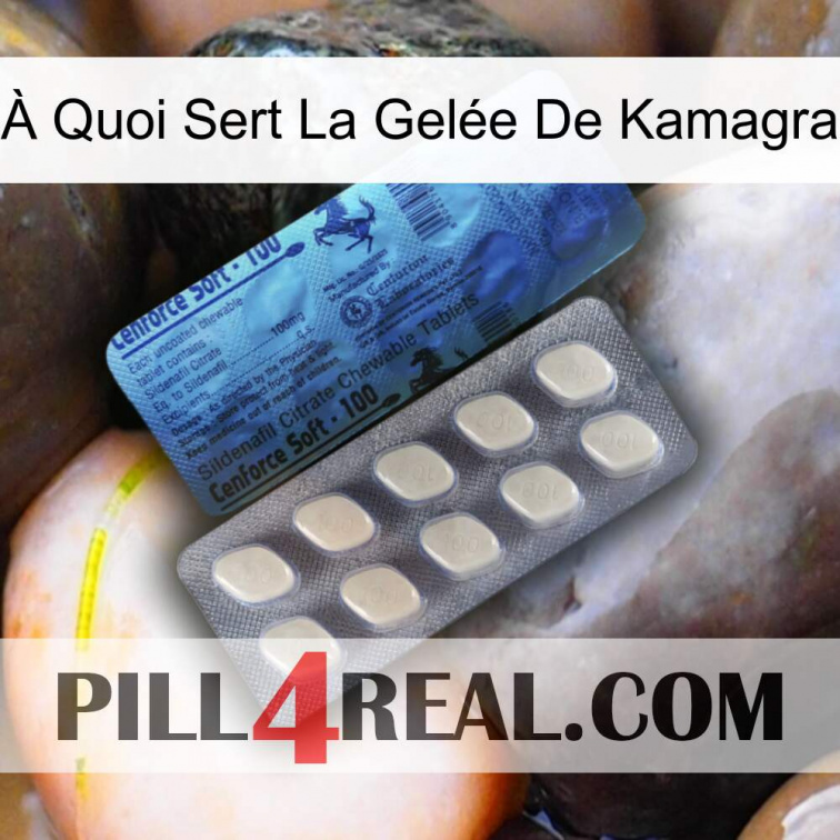 À Quoi Sert La Gelée De Kamagra 34